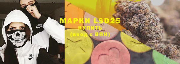 дживик Касимов