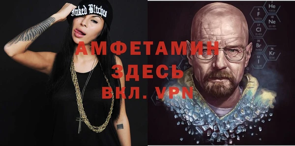 индика Карпинск