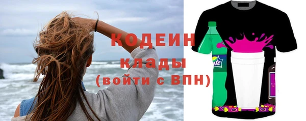 индика Карпинск