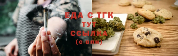 индика Карпинск