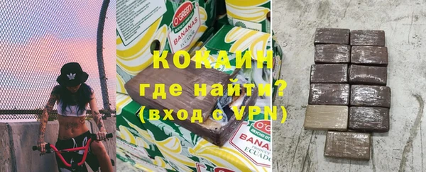дживик Касимов