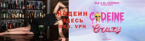 индика Карпинск