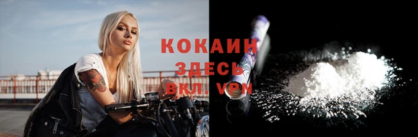индика Карпинск