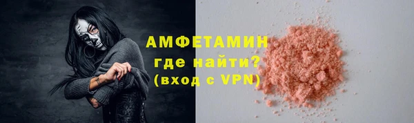индика Карпинск