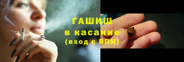 индика Карпинск