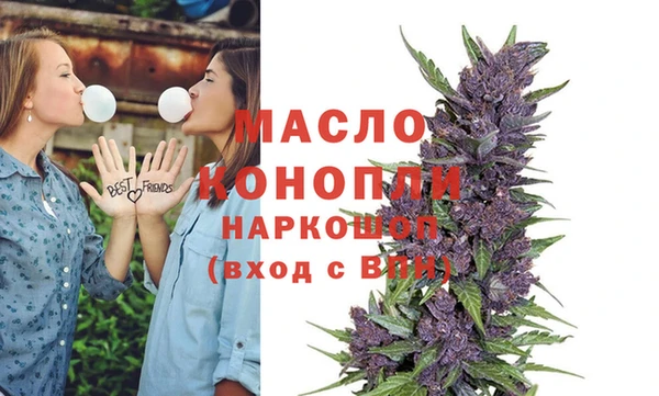 индика Карпинск