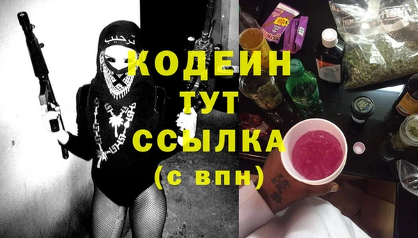 индика Карпинск