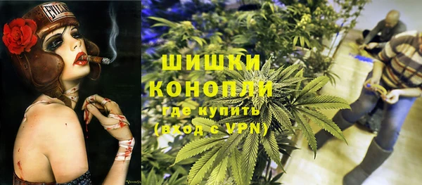 индика Карпинск