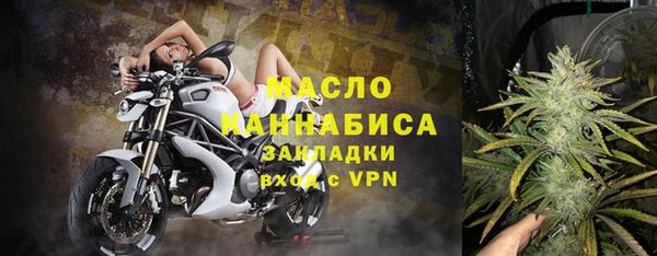 индика Карпинск