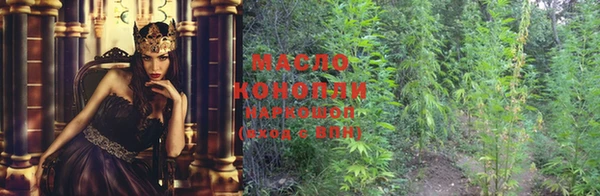 дживик Касимов