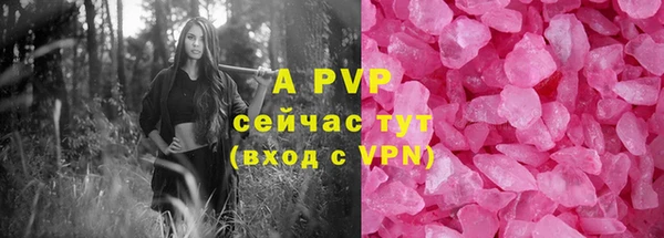 индика Карпинск