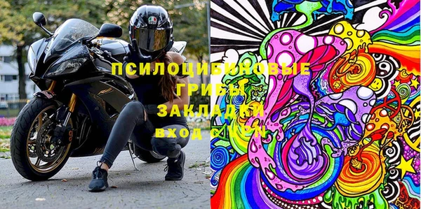 дживик Касимов