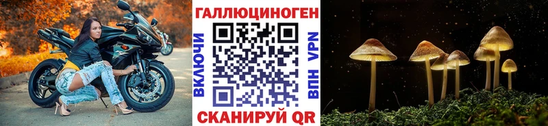 Купить  Арск  Псилоцибиновые грибы Psilocybe 